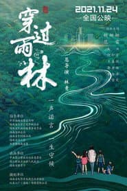 穿过雨林