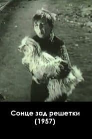 Сонце зад решетки
