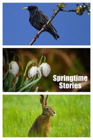 Historias de primavera