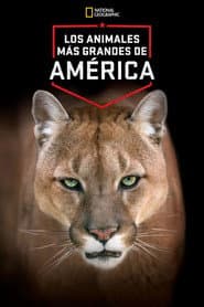 America's Greatest Animals