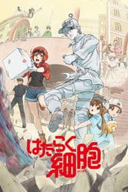 Cells at work!