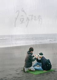 登月指南