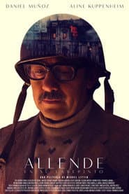 Allende en su laberinto