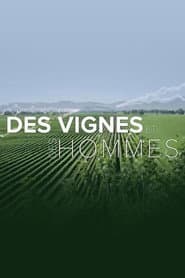 Des vignes et des hommes