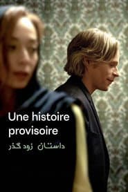 Une histoire provisoire