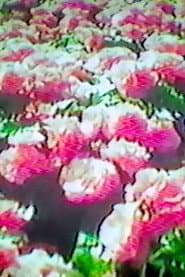 How Flowers Never Became A Food Group