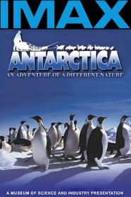 La Antártida