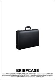 Briefcase
