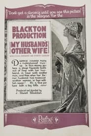My Husband's Other Wife