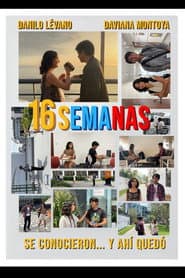 16 semanas