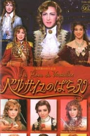 ベルサイユのばら30