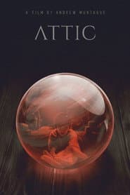 Attic