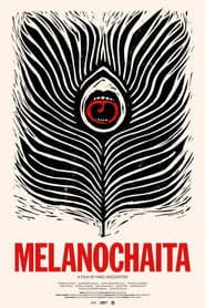 Melanochaita