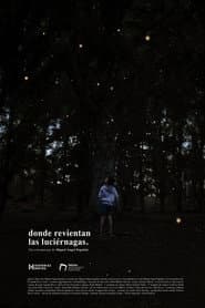 Donde revientan las luciérnagas