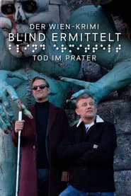 The Blind Detective: Muerte en el parque de atracciones