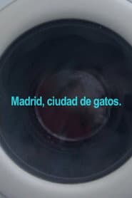 Madrid, ciudad de gatos