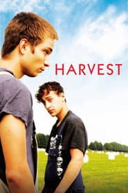 Harvest (Stadt Land Fluss)