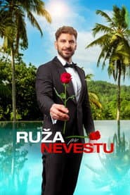 Ruža pre nevestu