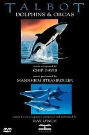 Talbot Dolphins & Orcas