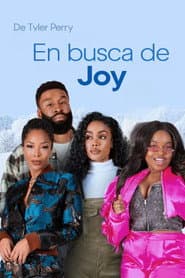 En busca de Joy