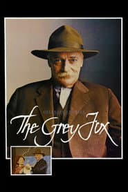 El zorro gris