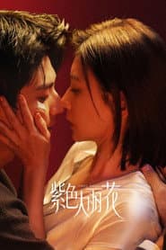 紫色大丽花