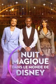 Nuit magique dans le monde de Disney