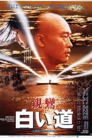 親鸞 白い道