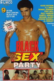 Black Sex Party