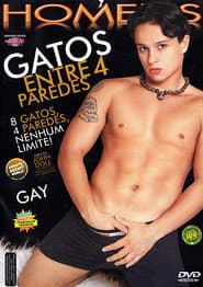 Gatos entre 4 paredes