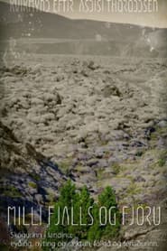 Milli fjalls og fjöru