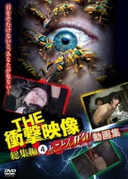 THE 衝撃映像 総集編（4）とことん狂気！動画集