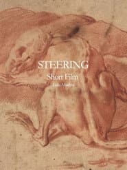 Steering