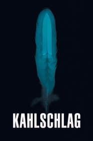 Kahlschlag