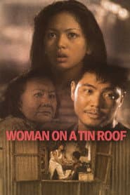 Babae sa Bubungang Lata