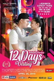 12 Days to Destiny