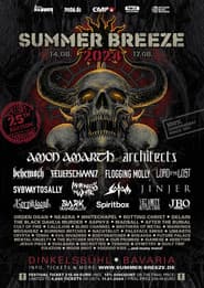 Subway To Sally: Live at Summer Breeze 2024