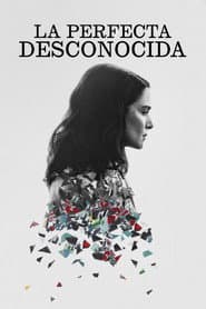 La perfecta desconocida