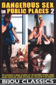 Dangerous Sex in Public Places 2