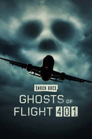 Los fantasmas del vuelo 401