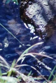 La Source De La Loire