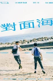 前度知己