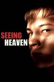 Seeing Heaven