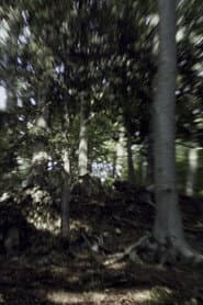 VERTIGO RUSH