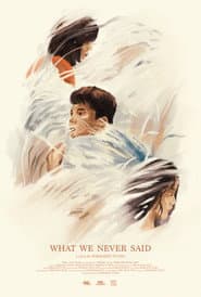What We Never Said