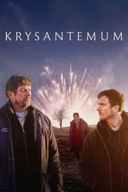 Krysantemum