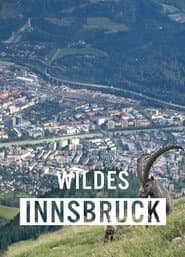 Wildes Innsbruck: Zwischen Moderne und alpiner Wildnis
