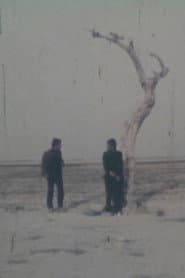 خیابان