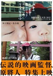 双子暦記・私小説