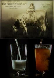 Notes on Milk